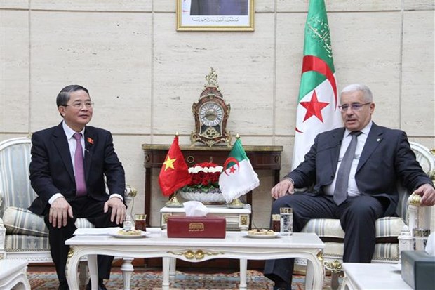 Vietnam y Argelia intensifican cooperacion parlamentaria hinh anh 1