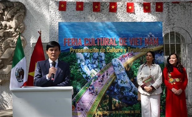 Feria enaltece a cultura vietnamita en Mexico hinh anh 1