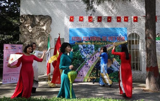 Feria enaltece a cultura vietnamita en Mexico hinh anh 2