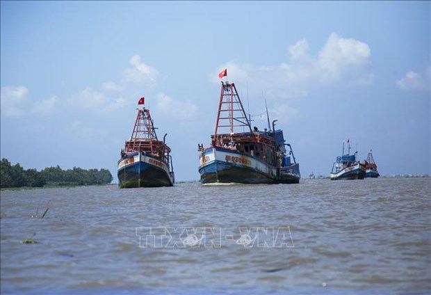 Provincia de Kien Giang se centra en la lucha contra la pesca ilegal hinh anh 1