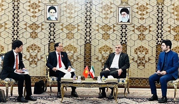 Vietnam e Iran robustecen relaciones de cooperacion multifacetica hinh anh 1