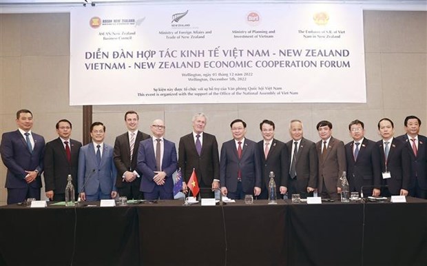 Vietnam y Nueva Zelanda dinamizan cooperacion economica hinh anh 2