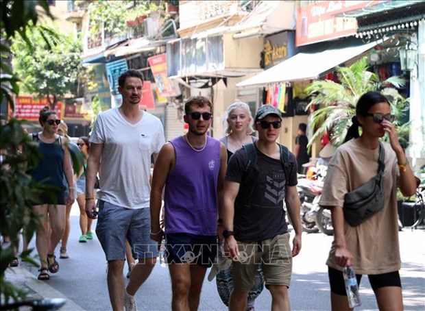 Busquedas internacionales de turismo en Vietnam siguen creciendo hinh anh 1