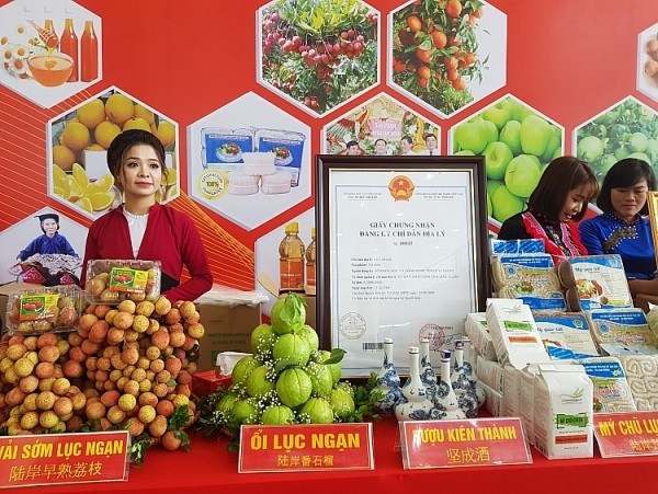 Bac Giang construye marcas de productos agricolas para expandir mercado hinh anh 1