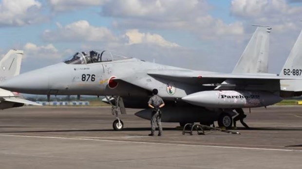 Filipinas y Japon realizan ejercicios aereos conjuntos hinh anh 1
