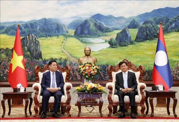 Vietnam y Laos fomentan relaciones partidistas hinh anh 1