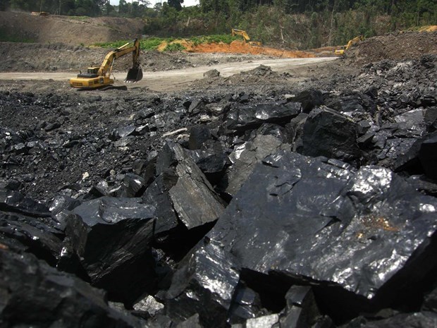 Explosion en mina de carbon en Indonesia deja nueve muertos hinh anh 1