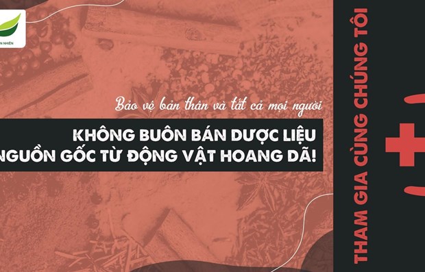 Vietnam elimina prescripcion de medicamentos derivados de animales salvajes hinh anh 1