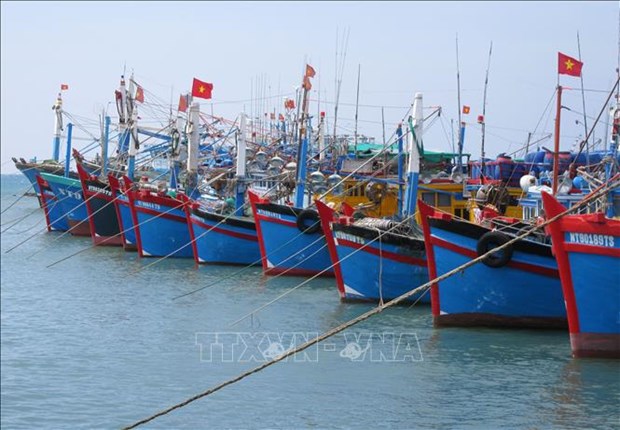 Provincia vietnamita proyecta desarrollo sostenible de sector pesquero hinh anh 1