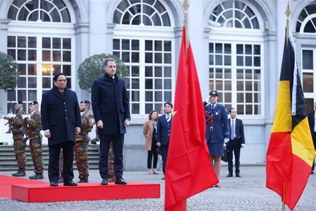 Primer ministro vietnamita sostiene conversaciones con su homologo belga hinh anh 2