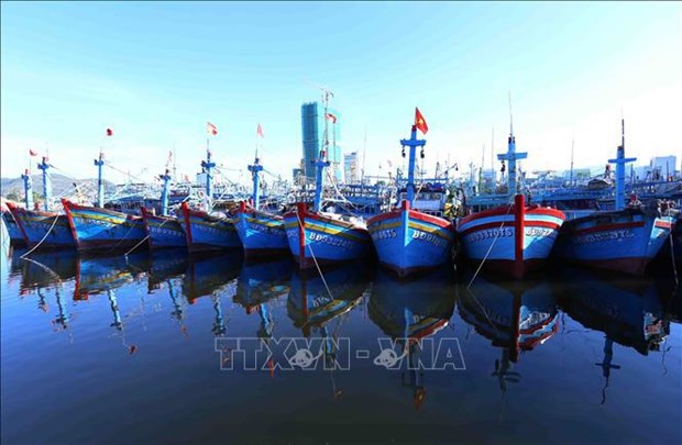 Provincias vietnamitas refuerzan medidas contra la pesca ilegal hinh anh 1