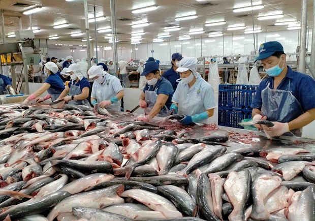 Exportaciones de pescado Tra alcanzaran este ano ingresos records hinh anh 1