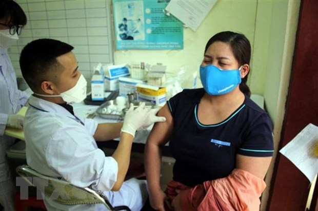 Vietnam registra 389 nuevos casos de COVID-19 hinh anh 1