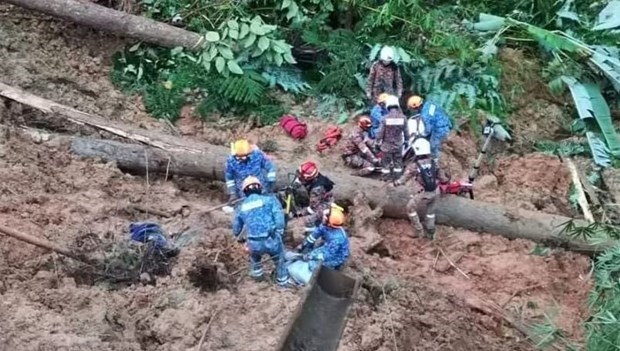 Al menos dos muertos y 51 desaparecidos por deslave de tierra en Malasia hinh anh 1
