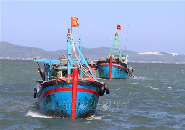 Provincia vietnamita de Phu Yen se esfuerza por prevenir pesca ilegal hinh anh 1