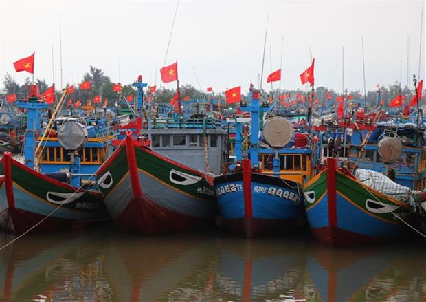 Provincia vietnamita promueve cambio en conciencia para luchar contra la pesca ilegal hinh anh 1
