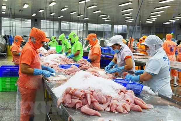 En alza exportaciones vietnamitas de pescado Tra a Estados Unidos hinh anh 1