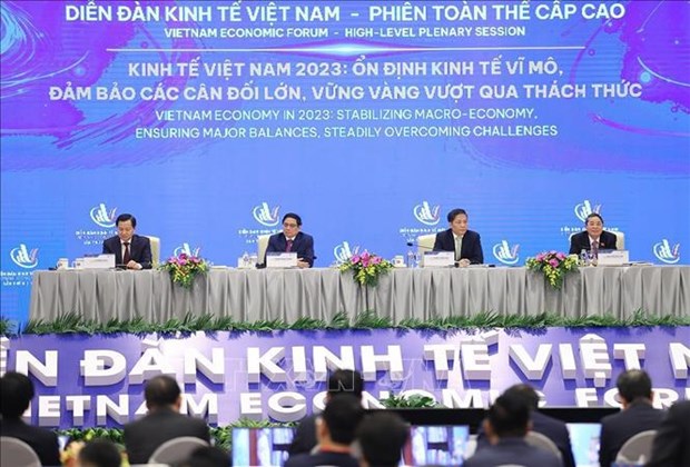 Primer ministro preside V Foro Economico de Vietnam hinh anh 1