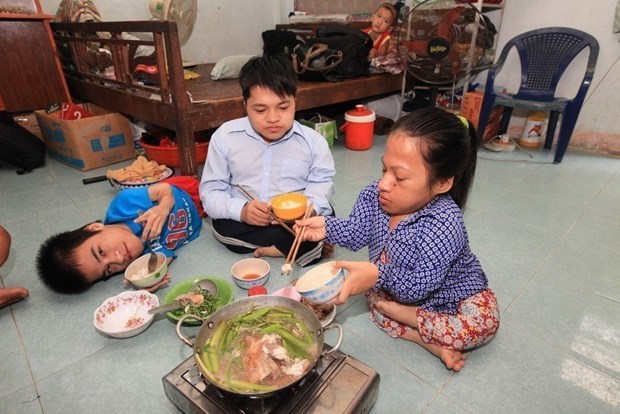 Evaluan en Vietnam proyecto de asistencia a victimas del Agente Naranja hinh anh 1