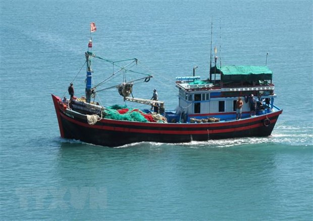 Provincia vietnamita acomete labores contra la pesca ilegal hinh anh 1
