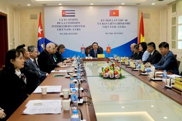 Vietnam y Cuba fomentan cooperacion en campos prioritarios hinh anh 1