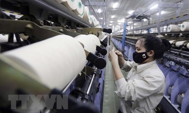 Economia vietnamita mantiene estable este ano, califica experto ruso hinh anh 1