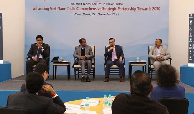 Buscan fortalecer asociacion estrategica integral Vietnam-India hinh anh 1