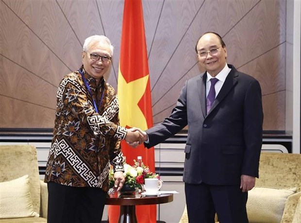 Presidente recibe al titular de Asociacion de Amistad Indonesia - Vietnam hinh anh 1