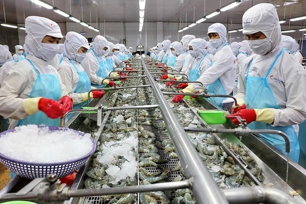 Vietnam registra record de exportaciones de gambas a Australia hinh anh 1