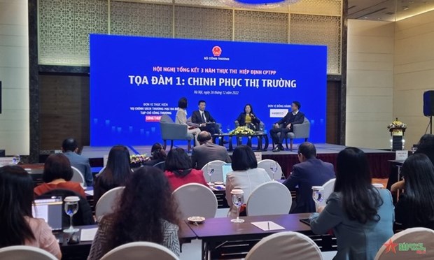 Empresas vietnamitas explotan cada vez mejor el CPTPP hinh anh 1