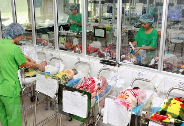 Calidad de poblacion de Vietnam ha mejorado, segun informe hinh anh 1