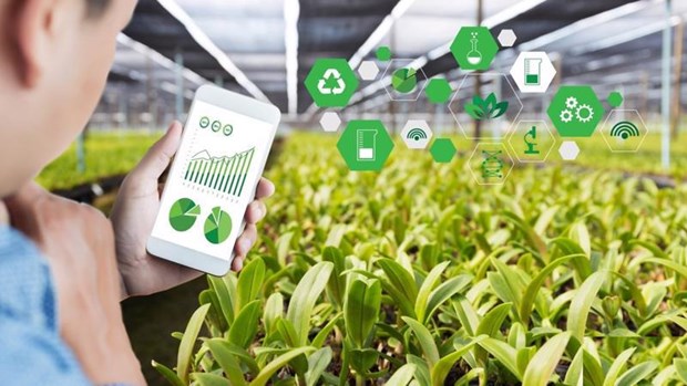 Transformacion digital ayuda a desarrollar agricultura sostenible en Vietnam hinh anh 1
