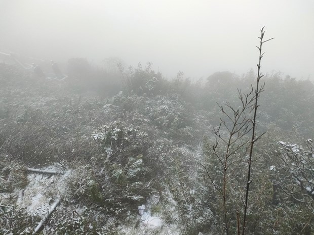 Nieves cubren de blanco la cima de Fansipan hinh anh 3