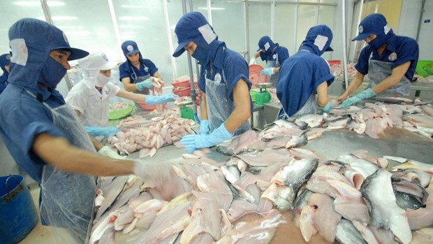 Paises de ASEAN aumentan importaciones de pescado Tra de Vietnam hinh anh 1