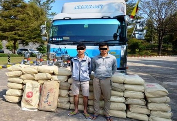Decomisa Myanmar 1,35 toneladas de cafeina en estado de Shan hinh anh 1