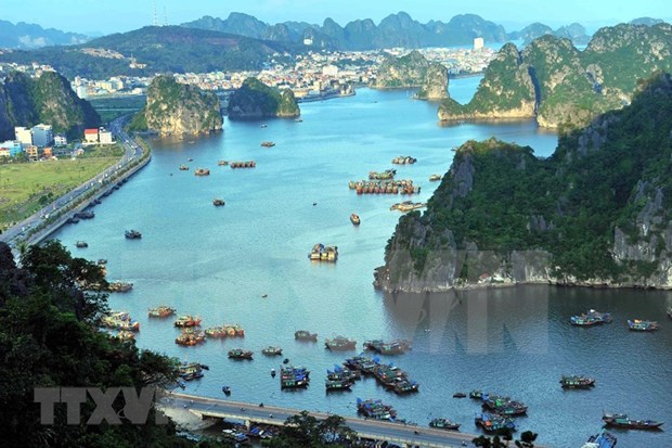 Provincia vietnamita de Quang Ninh: destino favorito de turistas en inicio de 2023 hinh anh 1
