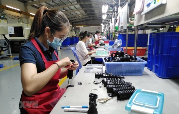 Empresas nacionales en Dong Nai establecen un nuevo record en el valor de exportacion hinh anh 1