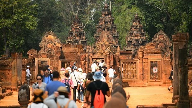Camboya ve recuperacion de turistas internacionales en complejo de Angkor hinh anh 1