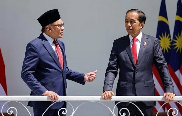 Indonesia y Malasia acuerdan fomentar papel de ASEAN hinh anh 1
