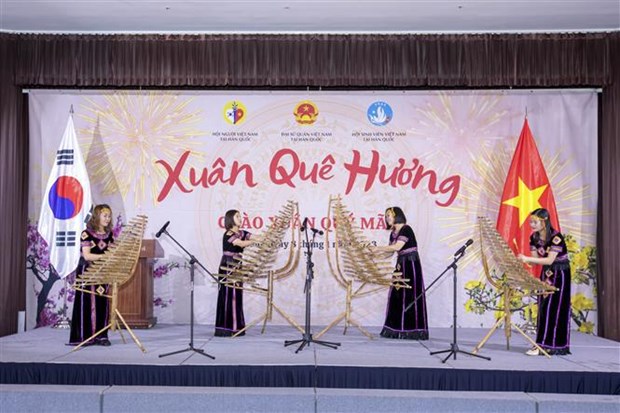 Vietnamitas en extranjero celebran fiestas por motivo del Tet hinh anh 1