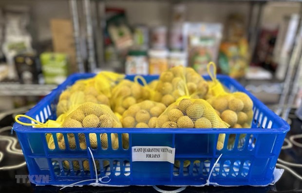 Frutas vietnamitas penetran en mercado japones hinh anh 1