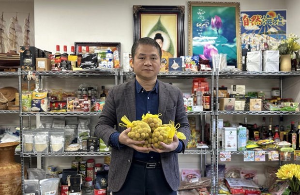 Frutas vietnamitas penetran en mercado japones hinh anh 2
