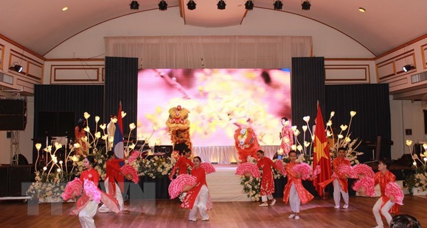 Vietnamitas en Laos celebran Ano Nuevo Lunar hinh anh 1
