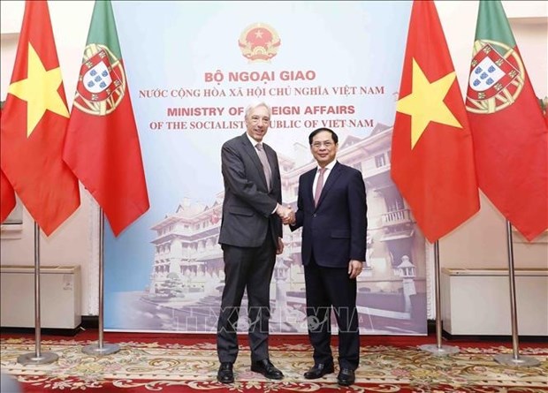 Vietnam y Portugal continuaran fomentando cooperacion multifaceticas hinh anh 1