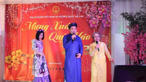 Vietnamitas en Paises Bajos celebran fiesta de Tet hinh anh 1