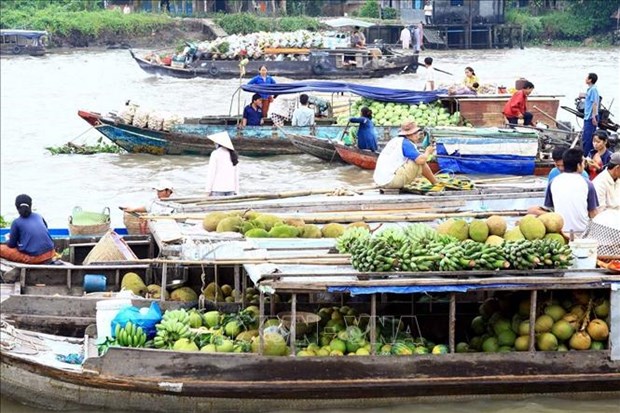 Mercado flotante, destino interesante para experimentar la vida en delta de Mekong hinh anh 1