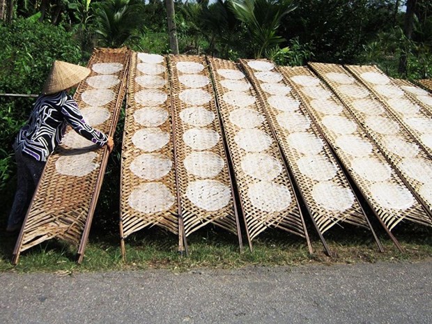 Ciudad de Da Nang atesora singular oficio de produccion de papel de arroz hinh anh 1