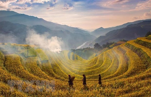 Terrazas de arroz, paisaje majestuoso del Noroeste de Vietnam hinh anh 1