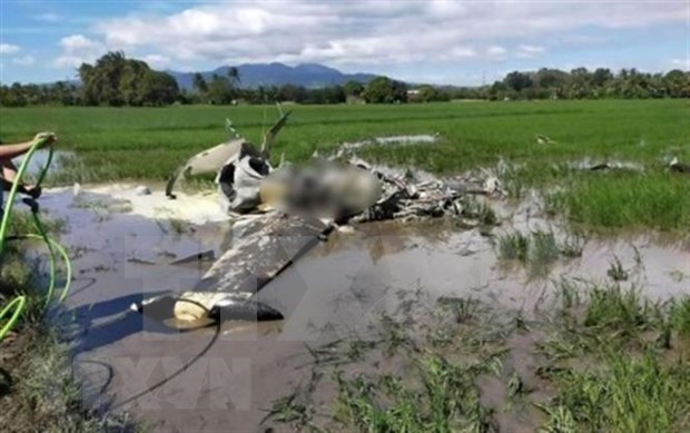 Dos muertos al estrellarse un avion militar de Filipinas hinh anh 1