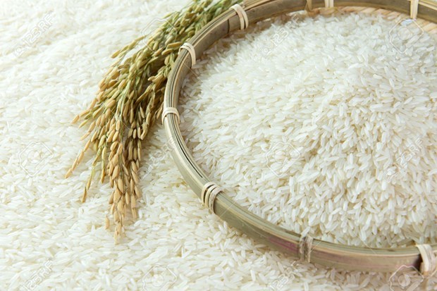 Indonesia apunta a producir 54,5 millones de toneladas de arroz este ano hinh anh 1